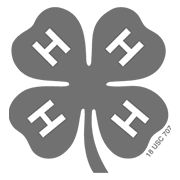 Scioto County 4H Club
